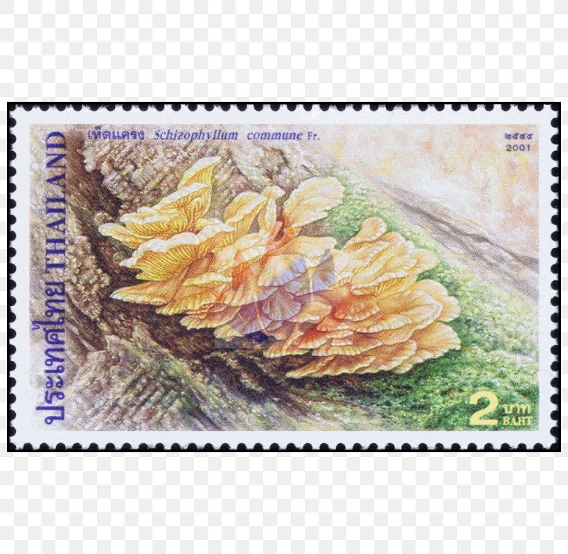 Postage Stamps Painting Flower Mail, PNG, 800x800px, Postage Stamps, Flora, Flower, Flowering Plant, Mail Download Free