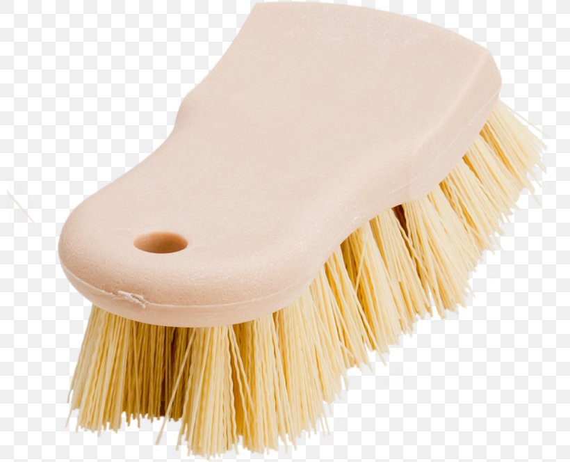 Brush Cleaning Interior Design Services Paint, PNG, 800x664px, Brush, Cleaning, Hair, Hair Removal, Handle Download Free