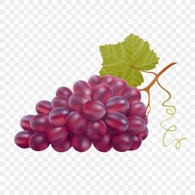 Common Grape Vine Wine Clip Art, PNG, 2953x2953px, Common Grape Vine, Berry, Blackberry, Boysenberry, Cranberry Download Free