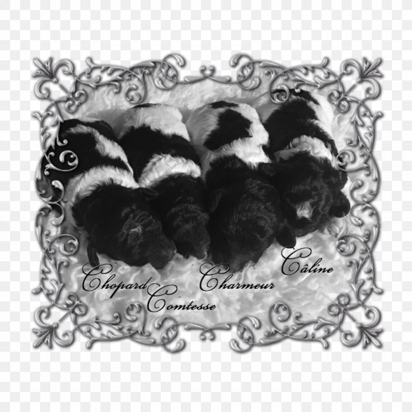 Dog Breed Puppy Litter, PNG, 1024x1024px, Dog Breed, Black And White, Breed, Dog, Dog Like Mammal Download Free