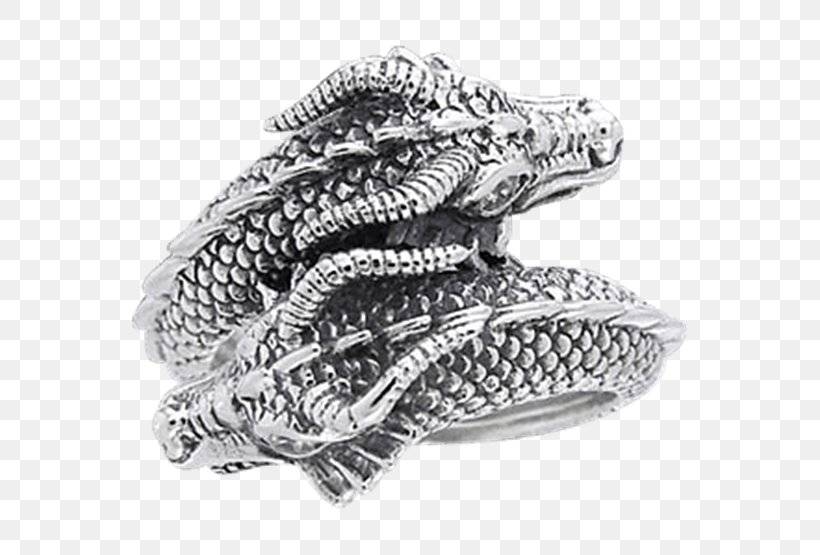 Jewellery Merlin Dinas Emrys Silver Ring, PNG, 555x555px, Jewellery, Amulet, Bijou, Black And White, Charms Pendants Download Free
