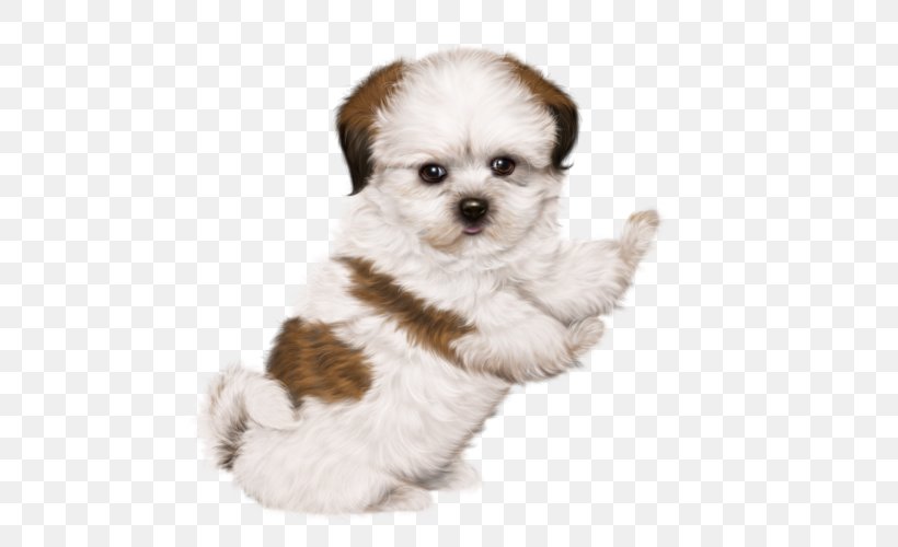 Chinese Imperial Dog Poodle Puppy Maltese Dog Yorkshire Terrier, PNG, 500x500px, Chinese Imperial Dog, Animal, Bolognese Dog, Breed, Carnivoran Download Free
