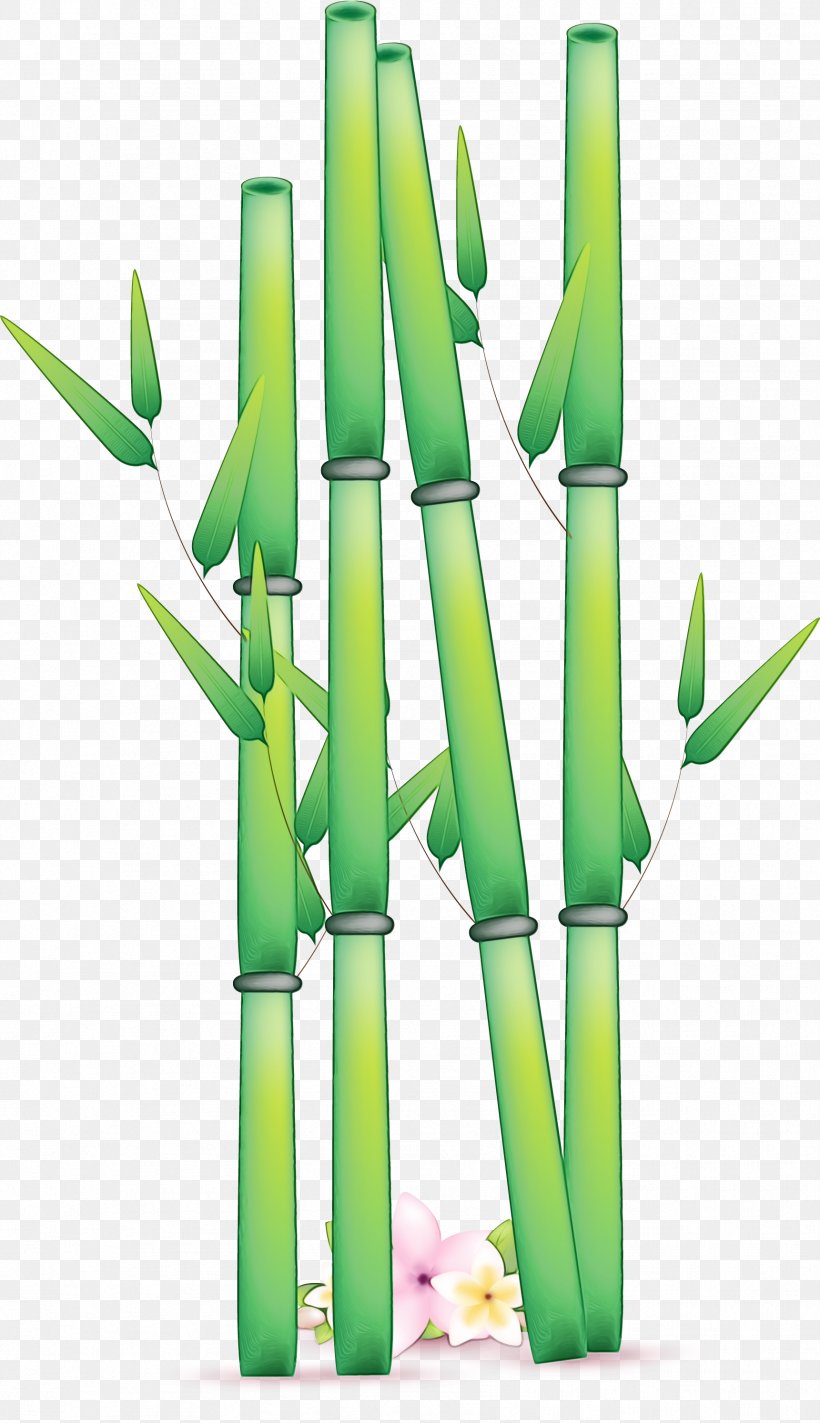 Green Bamboo Plant Stem Plant Grass Family, PNG, 1721x2988px, Watercolor, Bamboo, Bamboo Shoot, Grass, Grass Family Download Free
