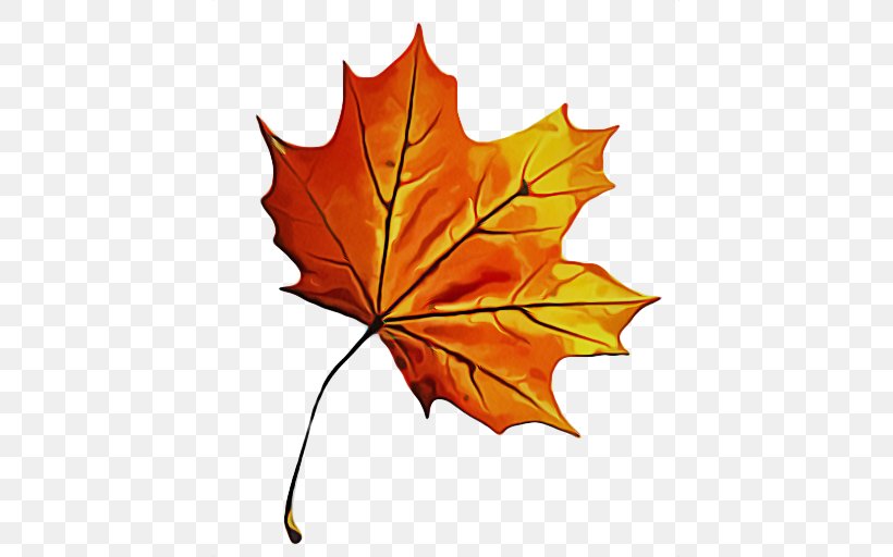 Maple Leaf, PNG, 512x512px, Leaf, Black Maple, Deciduous, Maple, Maple Leaf Download Free