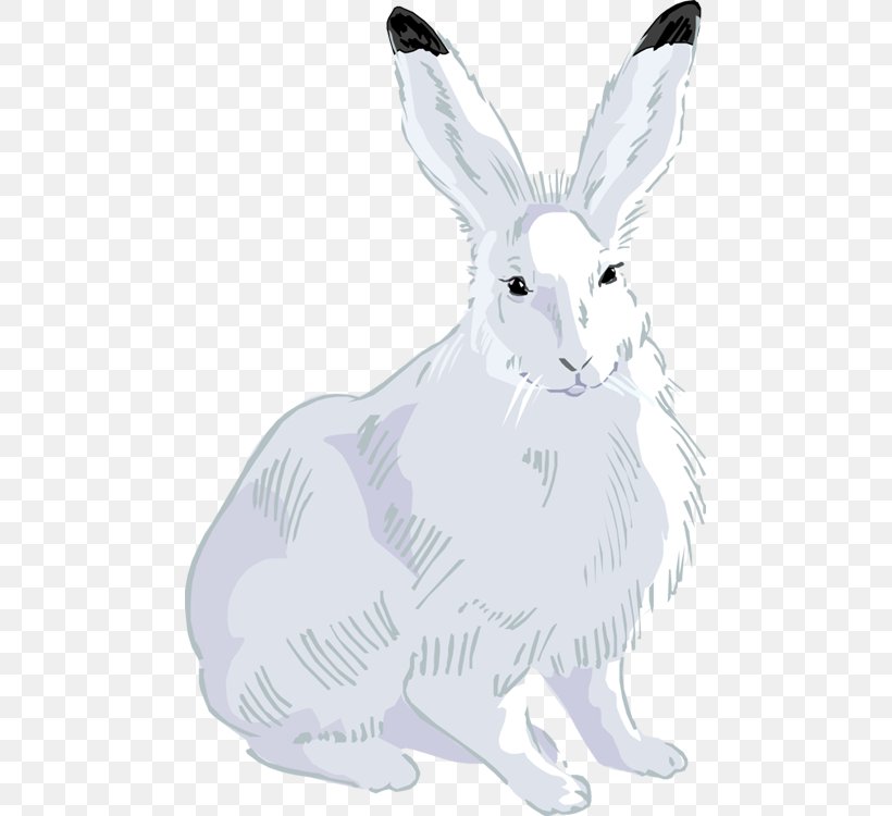 Clip Art Openclipart Drawing Image Photography, PNG, 479x750px, Drawing, Black And White, Dog Like Mammal, Domestic Rabbit, Easter Bunny Download Free