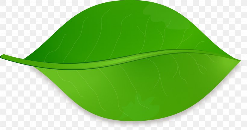 Leaf Shape Drawing Clip Art, PNG, 2720x1430px, Leaf, Bacterial Blight Of Cotton, Cap, Color, Colored Pencil Download Free
