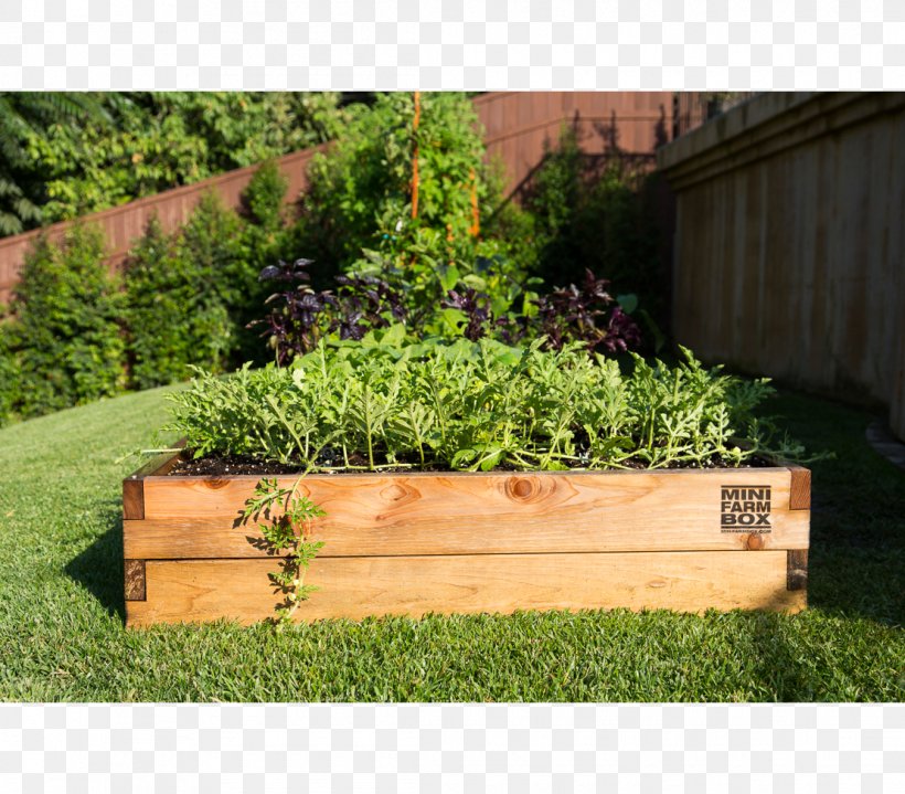 Raised-bed Gardening Container Garden Organic Horticulture Yard, PNG, 1110x974px, Raisedbed Gardening, Back Garden, Backyard, Bench, Chromated Copper Arsenate Download Free