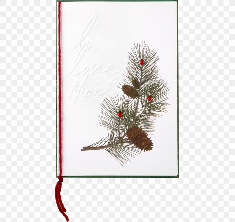 Tree Conifers Twig Plant Christmas Ornament, PNG, 1600x1512px, Tree, Branch, Branching, Christmas, Christmas Ornament Download Free