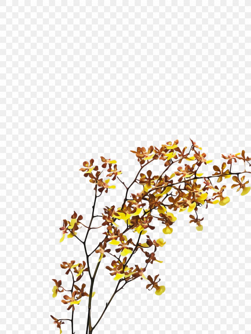 Branch Yellow Plant Flower Twig, PNG, 1732x2308px, Branch, Flower, Plant, Tree, Twig Download Free