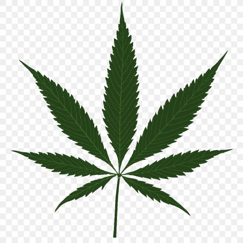 Cannabis Sativa Clip Art Marijuana Leaf, PNG, 1024x1024px, Cannabis Sativa, Cannabinoid, Cannabis, Drug, Hashish Download Free