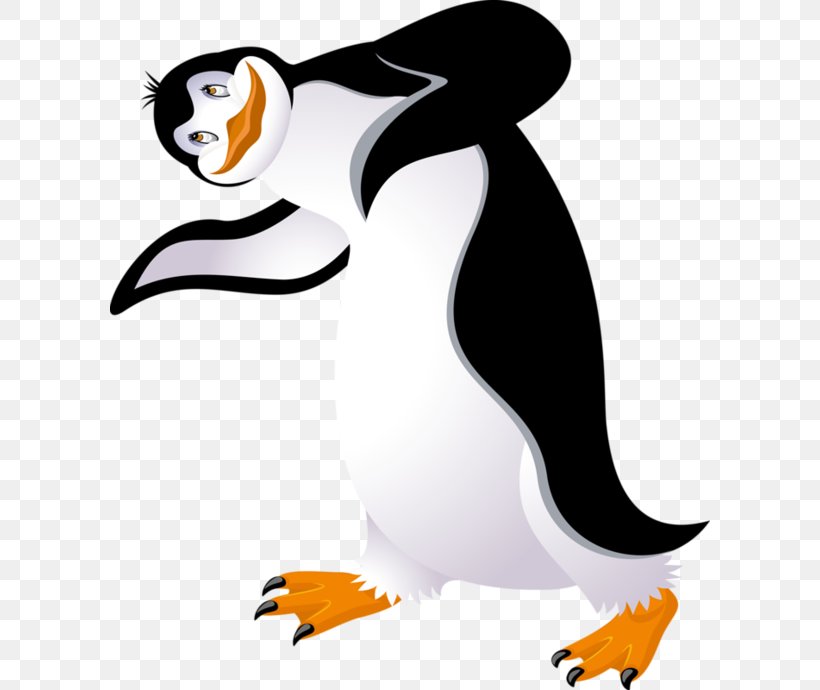 Clip Art Baby Penguin Bird King Penguin, PNG, 600x690px, Penguin, Animal, Artwork, Baby Penguin, Beak Download Free