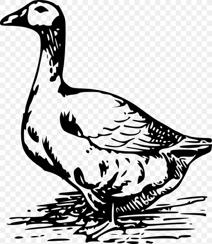 Goose Black And White Drawing Clip Art, PNG, 1112x1280px, Goose, Anatidae, Art, Beak, Bird Download Free