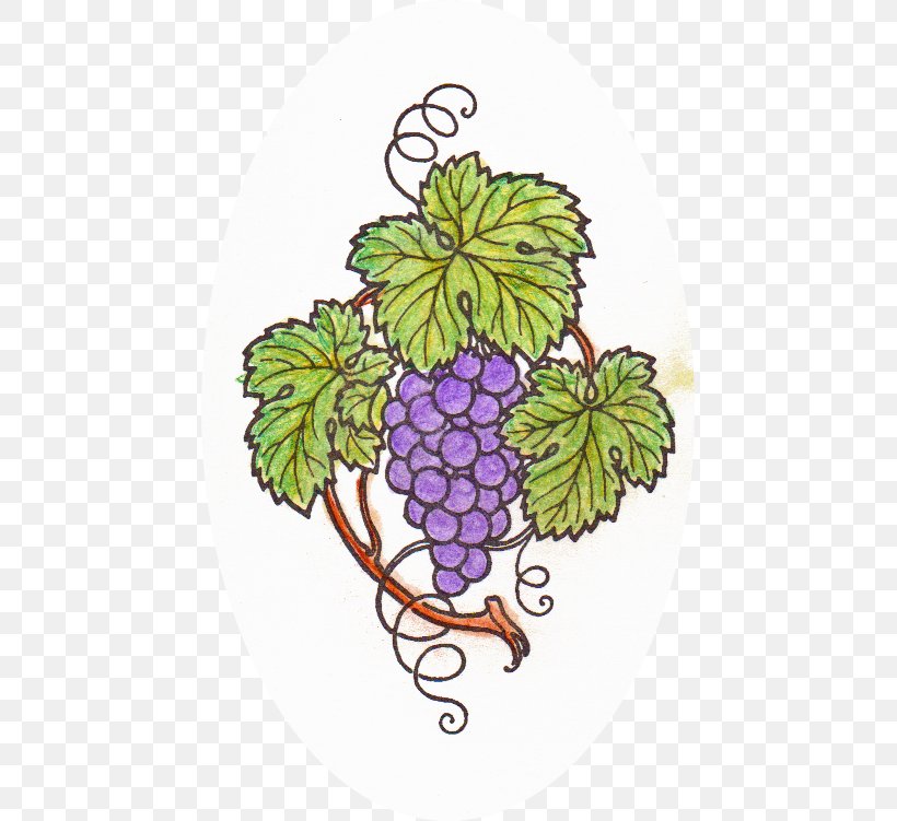 Grape Malbec Art Floral Design, PNG, 451x751px, Grape, Art, Flora, Floral Design, Flower Download Free