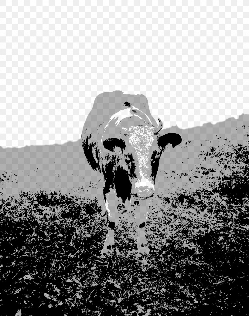 Bovine Black-and-white Dairy Cow Snout Horn, PNG, 1024x1300px, Bovine, Blackandwhite, Dairy Cow, Horn, Livestock Download Free