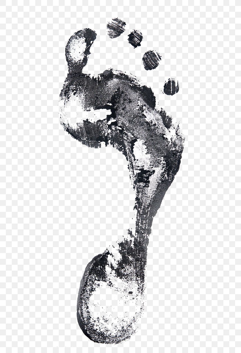 Footprint Stock Photography Stock Illustration, PNG, 565x1200px, Footprint, Black And White, Drawing, Foot, Monochrome Download Free