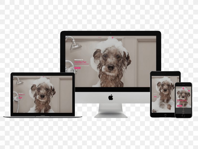 Installment Loan Dog Breed Design Website, PNG, 1200x900px, Loan, Carnivoran, Credit, Dog, Dog Breed Download Free