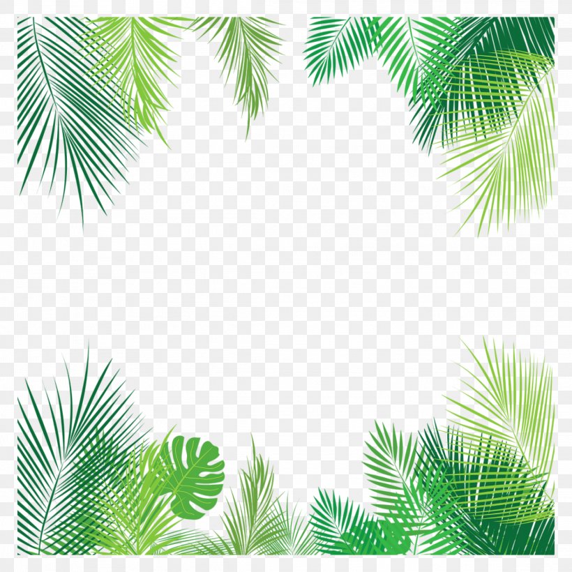 Clip Art Vector Graphics Leaf Palm Trees, PNG, 2289x2289px, Leaf, Arecales, Attalea Speciosa, Botany, Branch Download Free