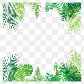 California Palm Clip Art Palm Trees Vector Graphics, PNG, 800x1600px ...