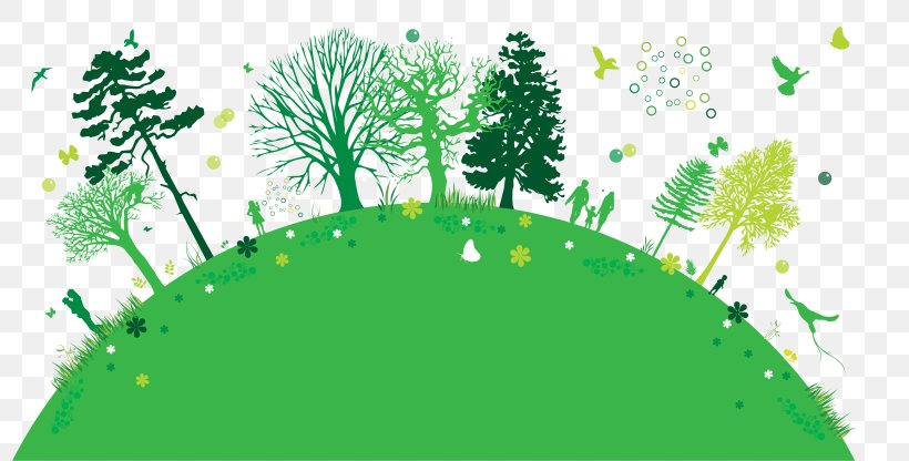 Arbor Day Foundation Tree Planting Clip Art, PNG, 800x416px, Arbor Day, Arbor Day Foundation, Branch, Conifer, Earth Day Download Free