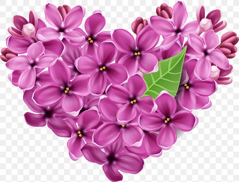 Lilac Flower Violet Heart Floral Design, PNG, 2699x2057px, Lilac, Color, Cut Flowers, Floral Design, Flower Download Free