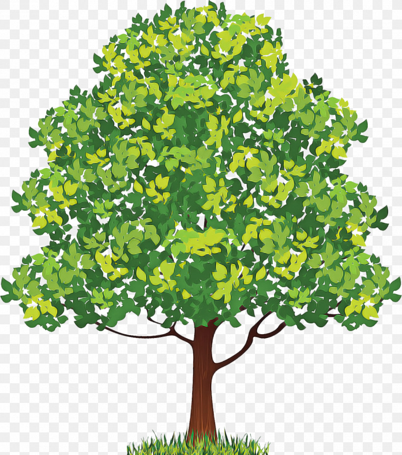 Neem Tree, PNG, 1326x1498px, Neem Tree, Azadirachta, Branch, Drawing, Line Art Download Free