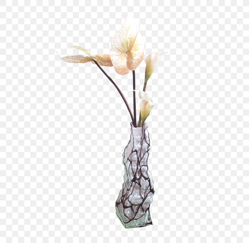 Vase Illustration, PNG, 800x800px, Vase, Bulletin Board System, Decorative Arts, Flower, Flower Bouquet Download Free