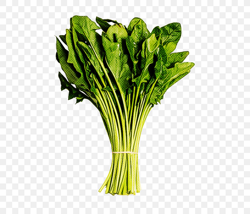Vegetable Leaf Vegetable Choy Sum Plant Food, PNG, 700x700px, Vegetable, Chinese Cabbage, Choy Sum, Food, Komatsuna Download Free