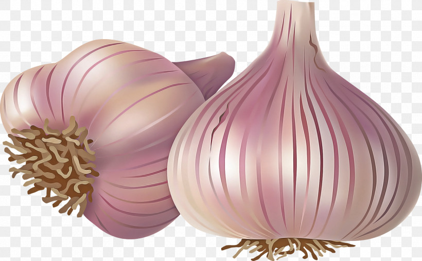 Yellow Onion Red Onion Garlic Purple Onion, PNG, 1768x1094px, Yellow Onion, Garlic, Onion, Purple, Red Download Free
