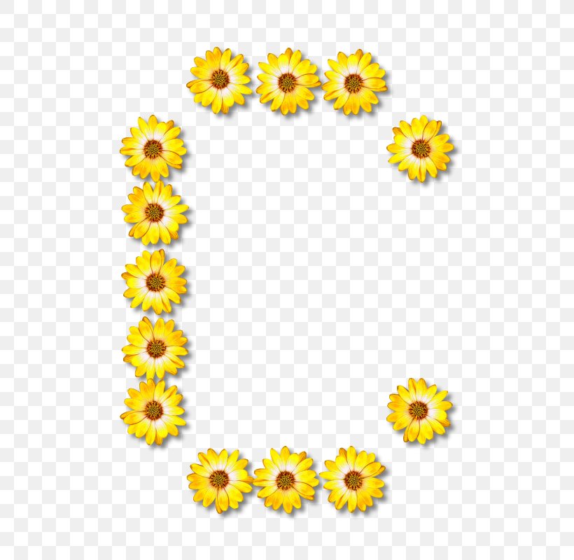 Alphabet Common Sunflower Letter, PNG, 572x800px, Alphabet, Common Sunflower, Cut Flowers, Daisy Family, Floral Design Download Free