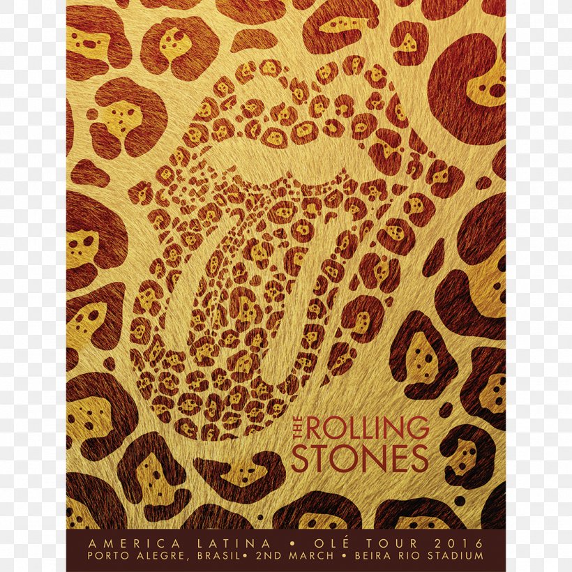 América Latina Olé Tour 2016 Zip Code Tour The Rolling Stones American Tour 1972 14 On Fire, PNG, 1100x1100px, Watercolor, Cartoon, Flower, Frame, Heart Download Free