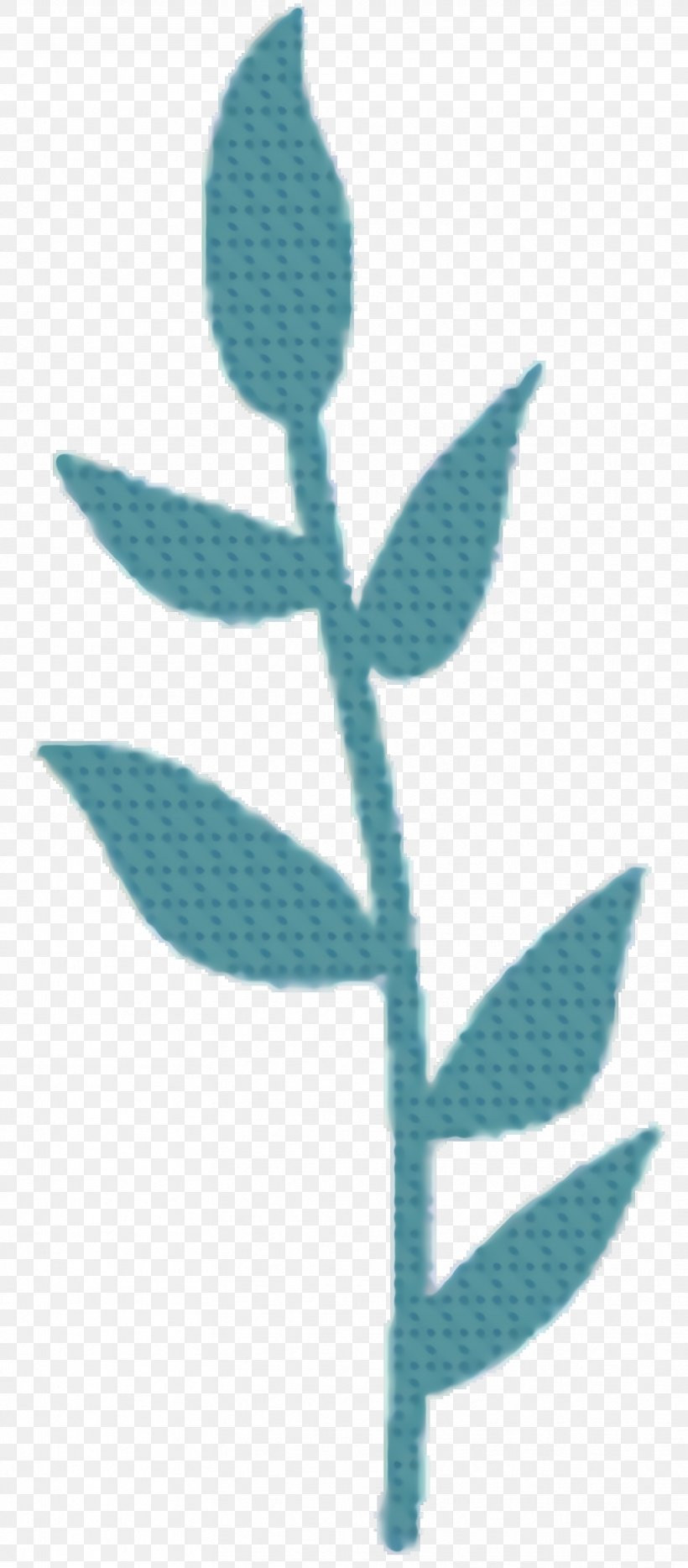 Leaf Line, PNG, 832x1896px, Branch, Botany, Flower, Leaf, Pedicel Download Free