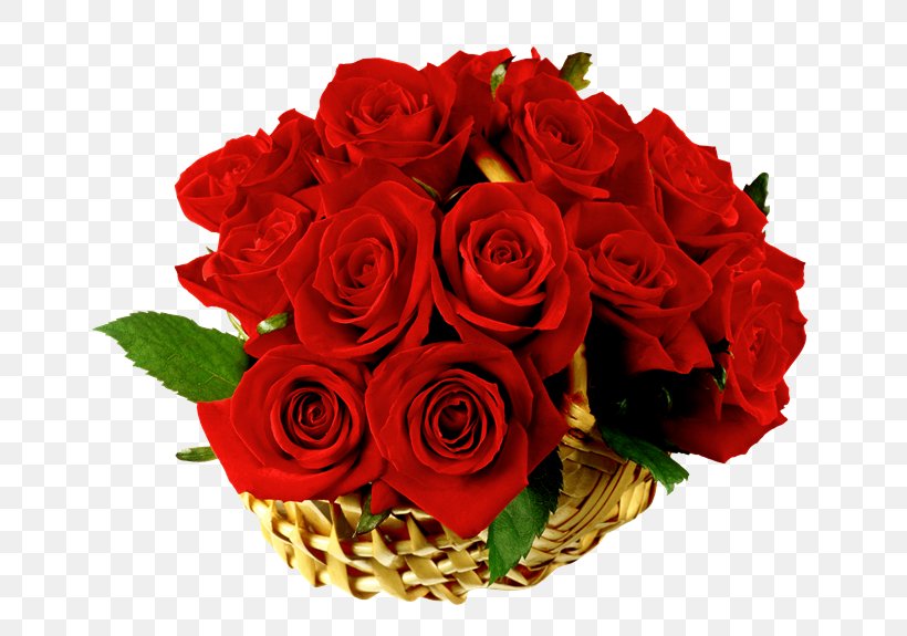 Rose Mother's Day Valentine's Day Flower Gift, PNG, 700x575px, Rose, Black Rose, Cut Flowers, Floral Design, Floribunda Download Free
