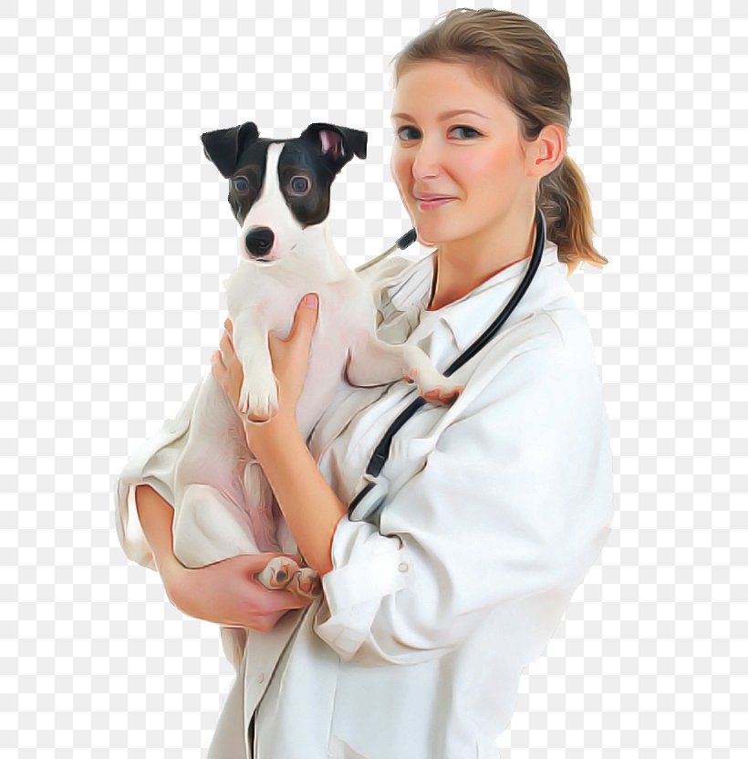 Stethoscope, PNG, 585x832px, Dog, Chilean Fox Terrier, Companion Dog, Dog Breed, Italian Greyhound Download Free