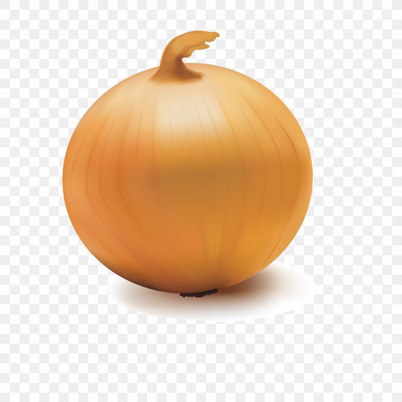 Pumpkin Calabaza Onion Vegetable, PNG, 2917x2917px, Pumpkin, Calabaza, Cucurbita, Food, Fruit Download Free