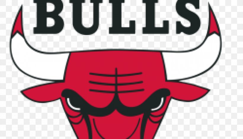 Chicago Bulls 2007 NBA Playoffs 2006–07 NBA Season 2011 NBA Playoffs Windy City Bulls, PNG, 1050x600px, Watercolor, Cartoon, Flower, Frame, Heart Download Free