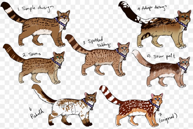Kitten Domestic Short-haired Cat Whiskers Wildcat, PNG, 900x600px, Kitten, Animal, Animal Figure, Canidae, Carnivoran Download Free