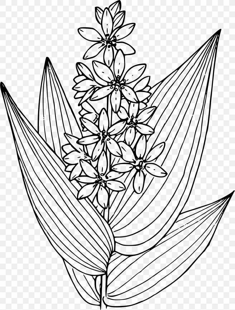 Drawing Line Art Visual Arts, PNG, 1818x2400px, Drawing, Area, Artwork, Black And White, Flora Download Free
