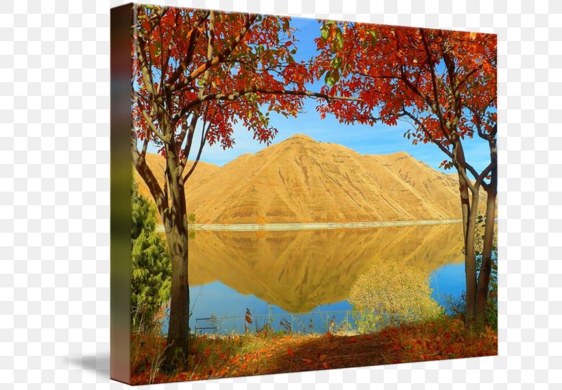 Gallery Wrap Painting Ecosystem Canvas Art, PNG, 650x570px, Gallery Wrap, Art, Autumn, Canvas, Ecosystem Download Free