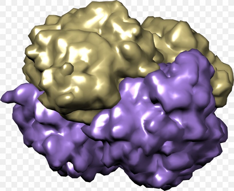 Hemoglobin Organism Chemist Oxygen Purple, PNG, 1991x1634px, Watercolor, Cartoon, Flower, Frame, Heart Download Free