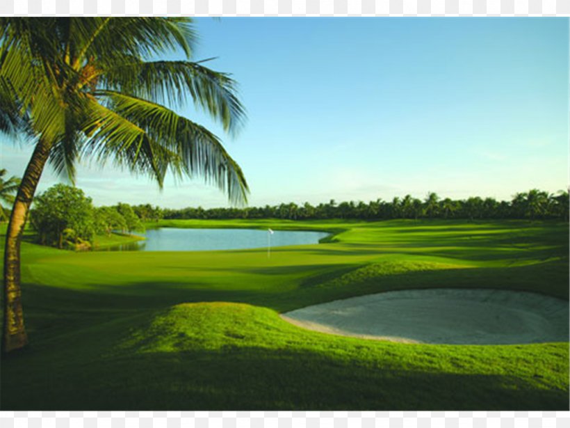 Pinebrook Ironwood Golf Course Anna Maria Island Old Palm Golf Club, PNG, 1024x768px, Golf Course, Anna Maria Island, Country Club, Florida, Fore Download Free