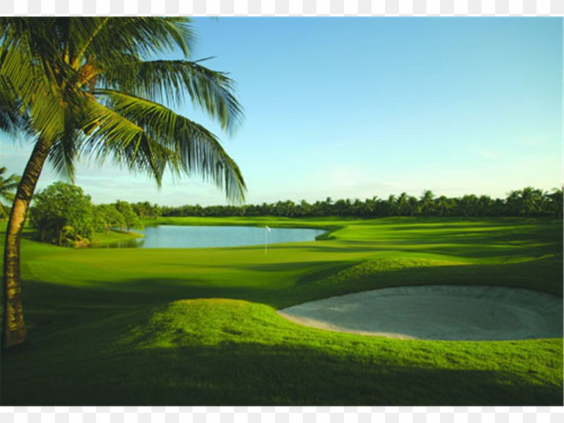 Pinebrook Ironwood Golf Course Anna Maria Island Old Palm Golf Club