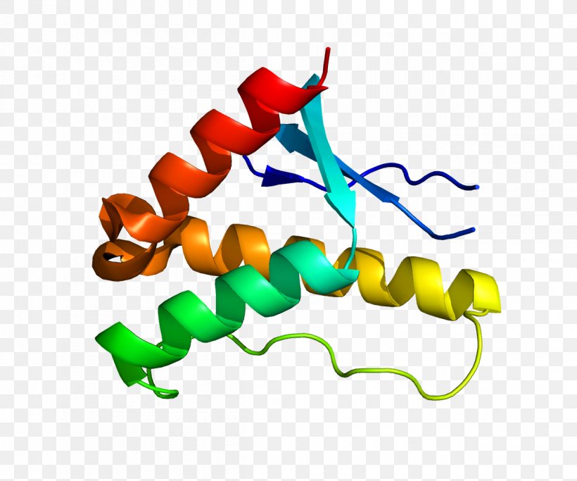SNX17 Low-density Lipoprotein Receptor Gene Family Sorting Nexin LDL Receptor, PNG, 1200x1000px, Watercolor, Cartoon, Flower, Frame, Heart Download Free