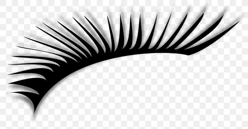 Eyelash Extensions Clip Art, PNG, 1920x1000px, Eyelash, Artificial Hair Integrations, Beauty, Black, Black And White Download Free