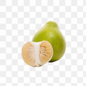 Pomelo Key Lime Citrus Junos Grapefruit Png 48x1362px Pomelo Auglis Citric Acid Citrus Citrus Junos Download Free