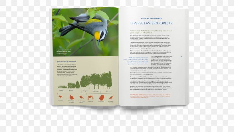 National Fish And Wildlife Foundation Advertising Brand Annual Report, PNG, 2280x1282px, Advertising, Annual Report, Brand, Report, Wildlife Download Free