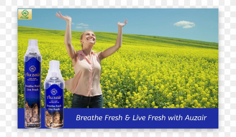 Canola Advertising Energy Grasses Happiness, PNG, 979x570px, Canola, Advertising, Agriculture, Crop, Energy Download Free