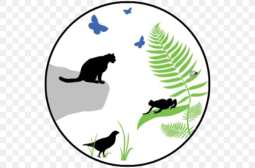 Cat Wildlife Clip Art, PNG, 540x540px, Cat, Area, Artwork, Black, Black And White Download Free