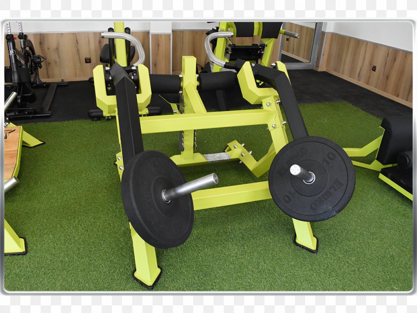 Fitness Centre Physical Fitness Floor Room, PNG, 1024x768px, Fitness Centre, Exercise Equipment, Floor, Flooring, Grass Download Free