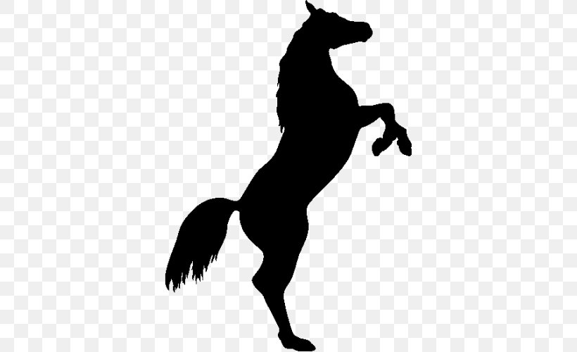 Akhal-Teke Stallion Clip Art, PNG, 500x500px, Akhalteke, Animal, Black And White, Colt, English Riding Download Free