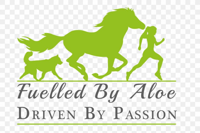 Pony Mustang Paper Excellent Stickers, PNG, 1000x669px, Watercolor, Cartoon, Flower, Frame, Heart Download Free